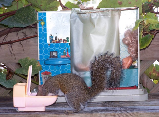 500 Internal Server Error